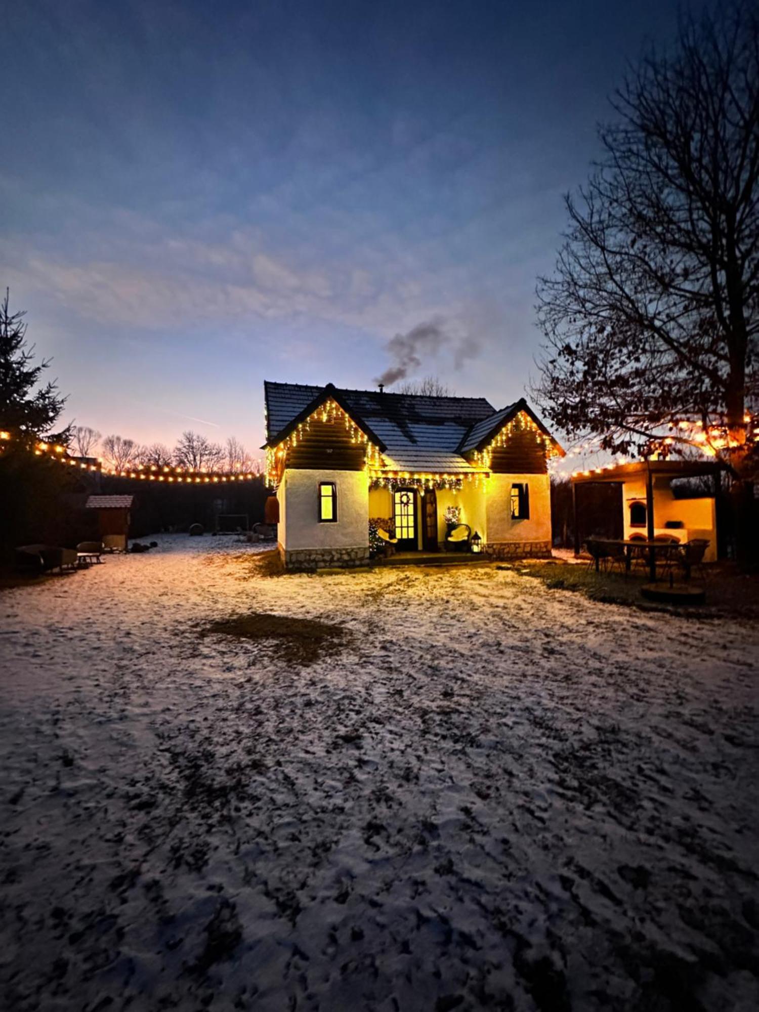 Cuib Din Fagaras Villa Avrig Exterior photo