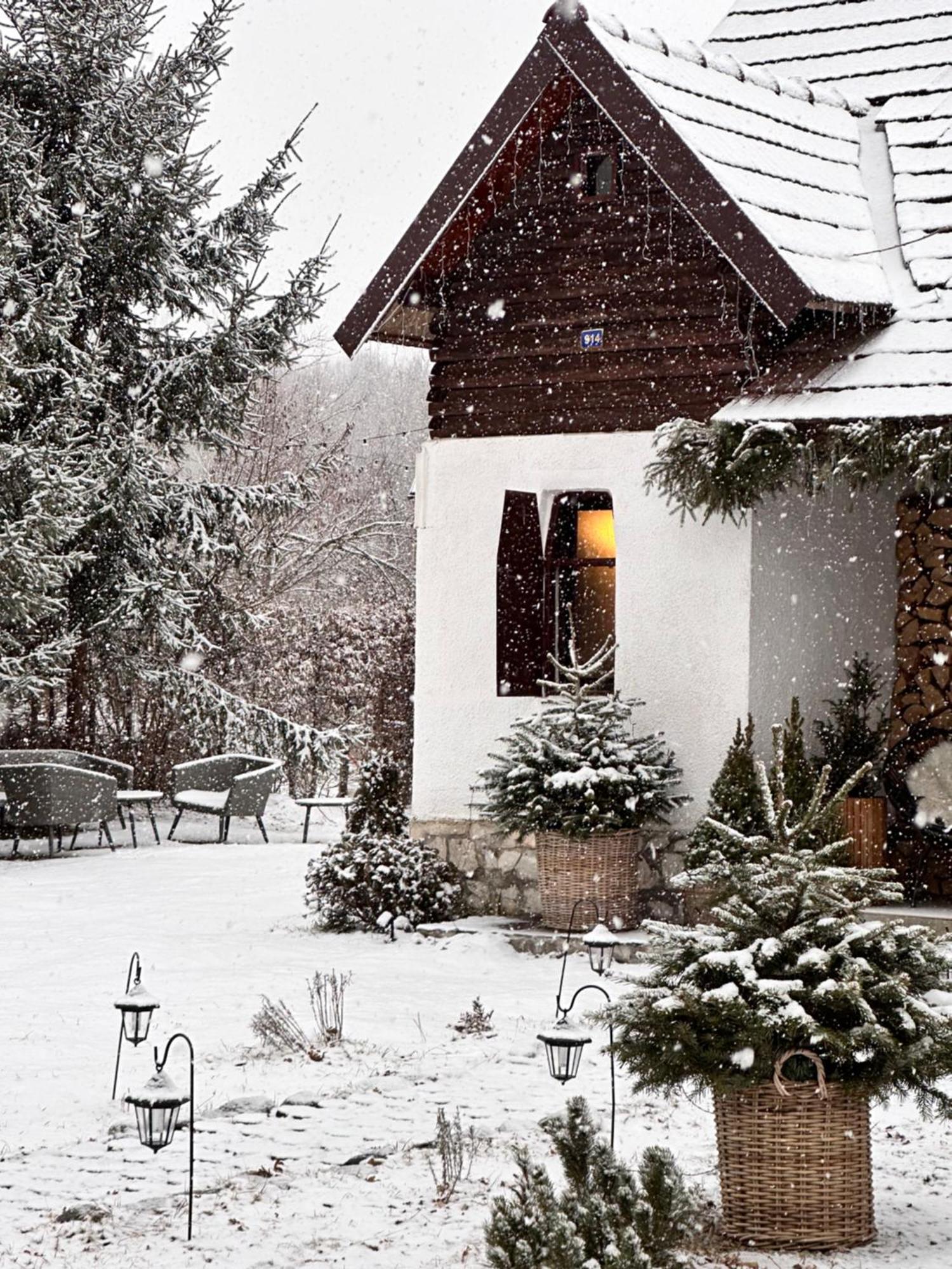 Cuib Din Fagaras Villa Avrig Exterior photo
